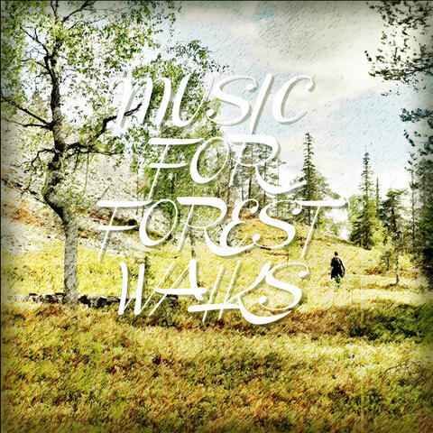 LISTEN &amp; BUY: Music For Forest Walks